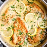 Lemon Parmesan Chicken Recipe
