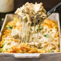 Chicken Alfredo Casserole