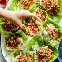 Easy Chicken Lettuce Wraps Recipe