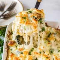 Broccoli Chicken Alfredo Pasta Bake