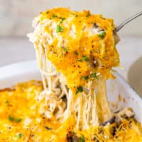 Cheesy Chicken Tetrazzini Recipe