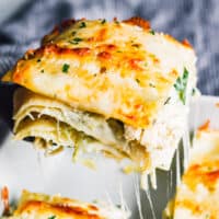 White Chicken Lasagna Recipe