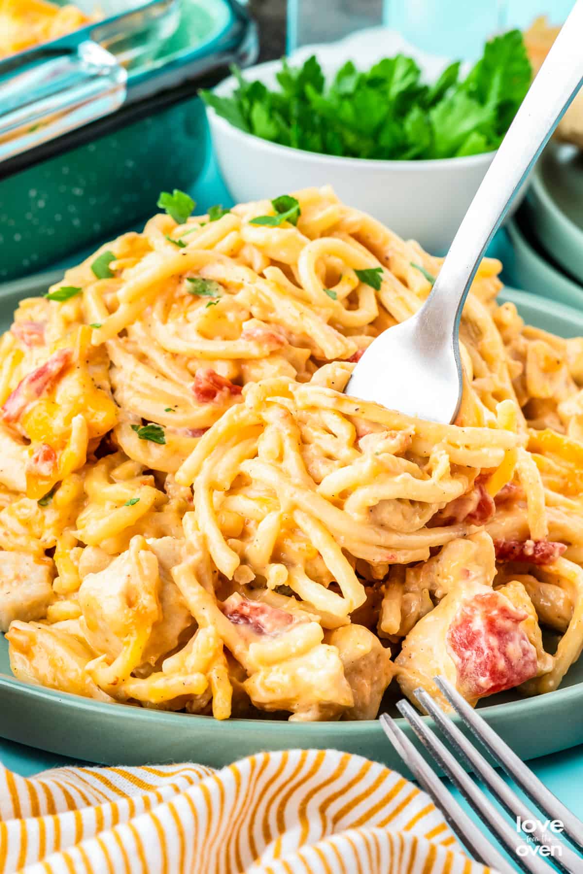 Creamy Chicken Spaghetti Recipe