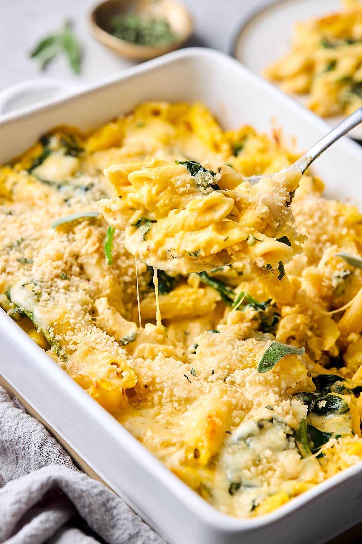 Butternut Squash Baked Ziti