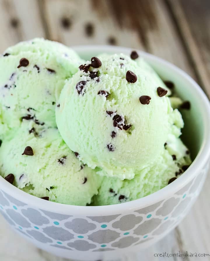 Homemade Mint Chocolate Chip Ice Cream