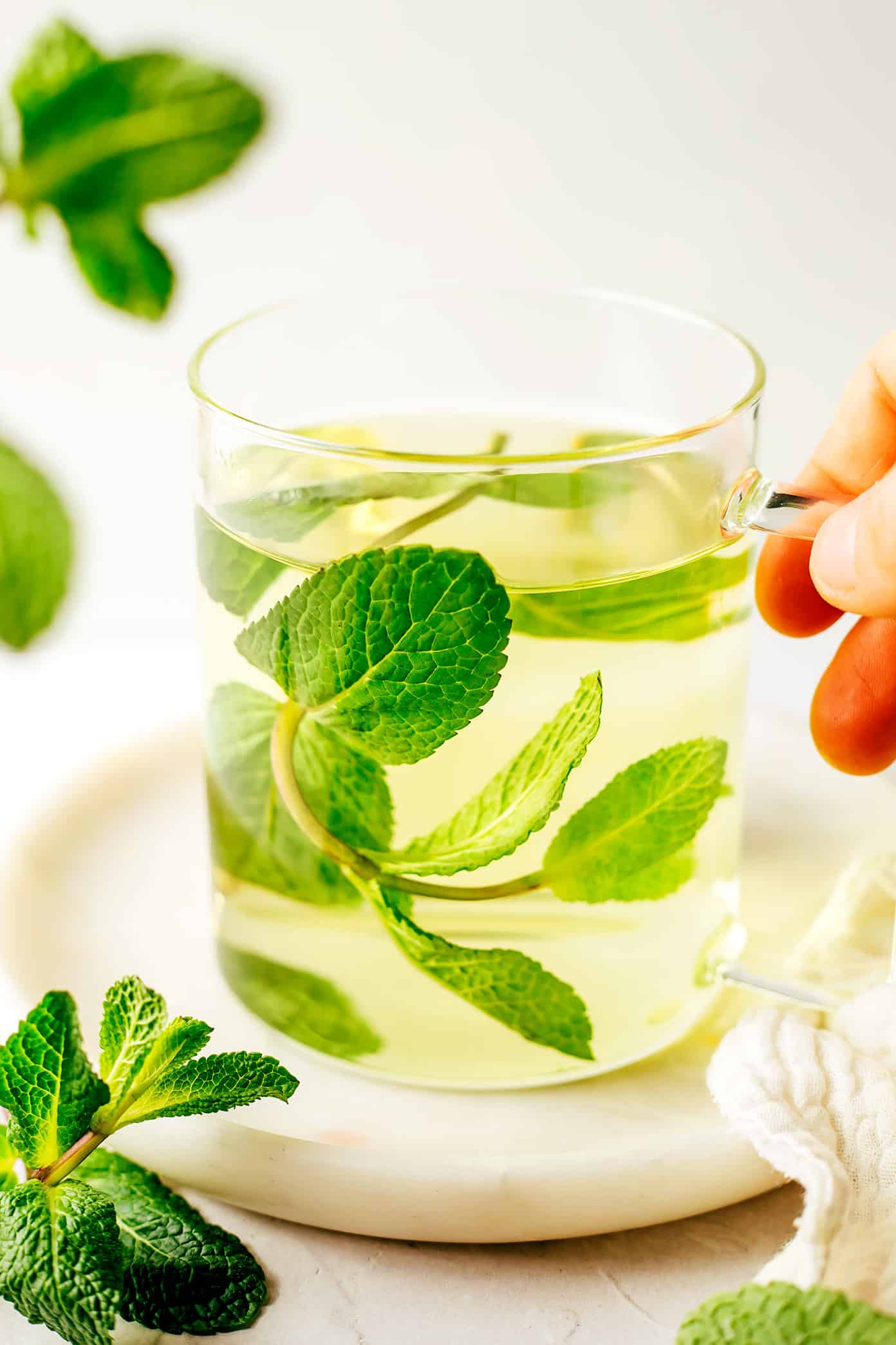 Refreshing Mint Tea