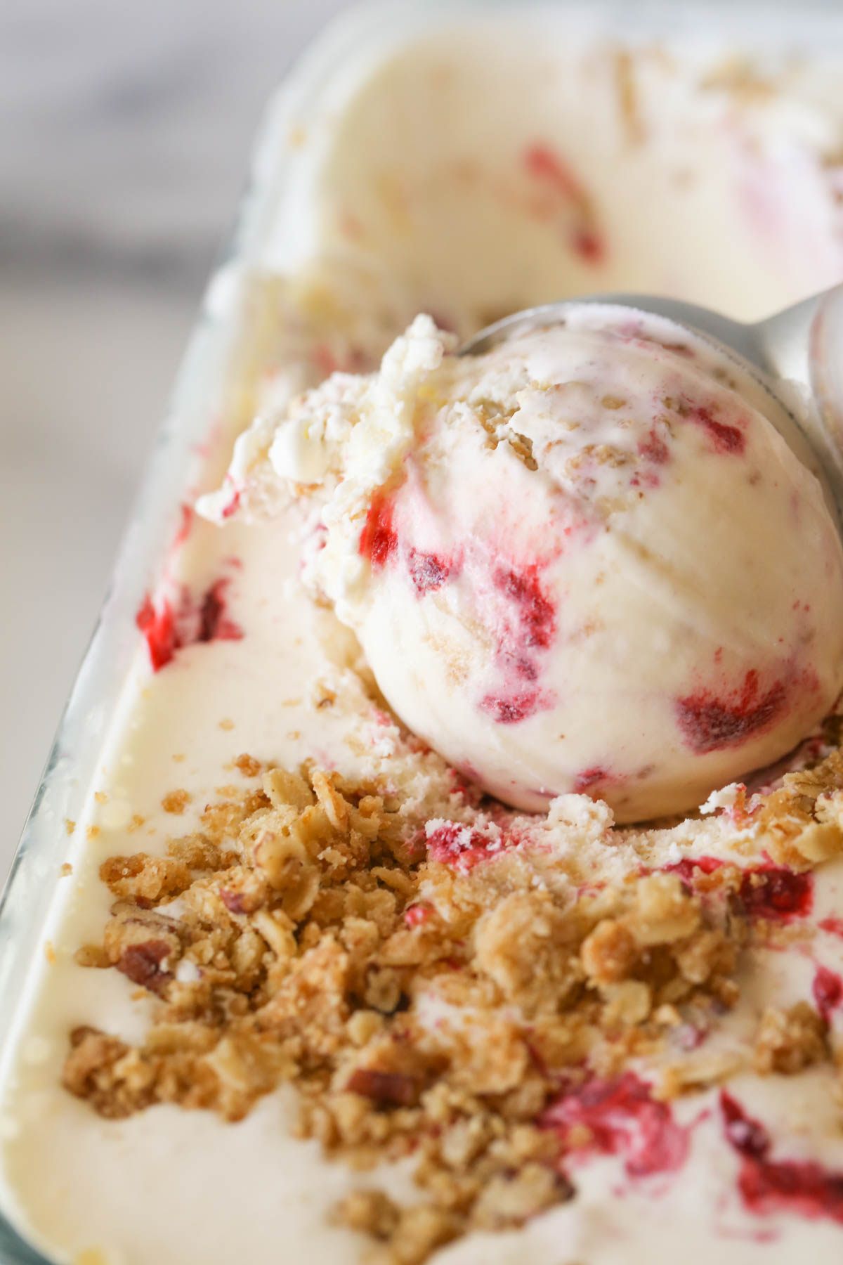 Raspberry Swirl and Chocolate Chunk Ice Cream